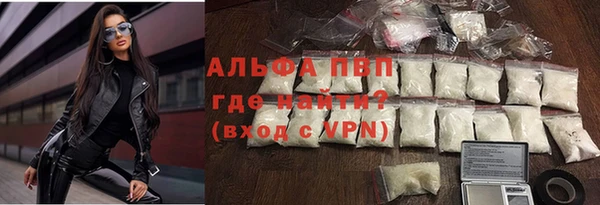 бошки Дмитров