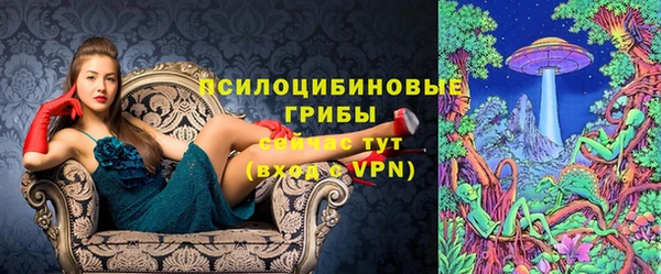 бошки Дмитров