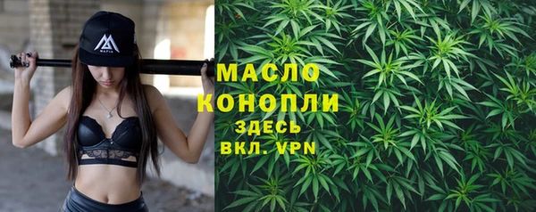 молекула духа Дмитриев
