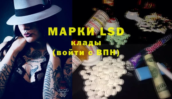 a pvp Дмитровск