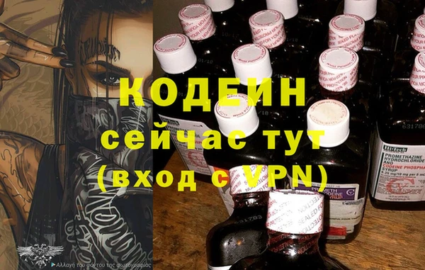 молекула духа Дмитриев