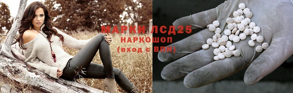 молекула духа Дмитриев