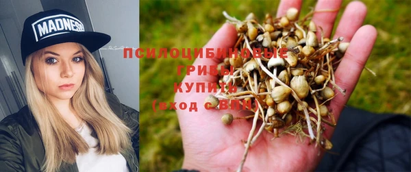 a pvp Дмитровск