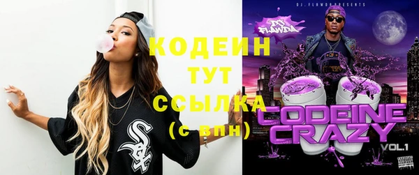 молекула духа Дмитриев