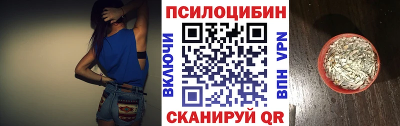 MEGA Оренбург Псилоцибиновые грибы MAGIC MUSHROOMS